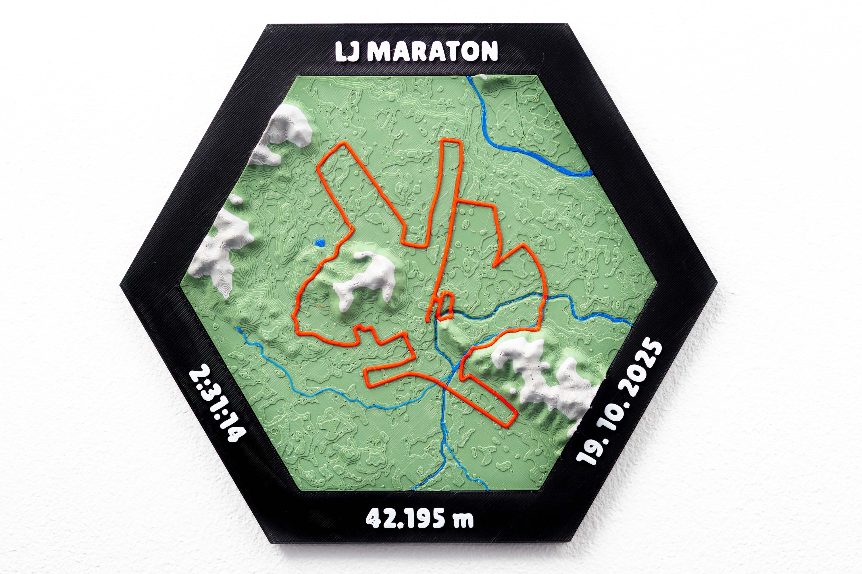 Ljubljana Marathon 2025