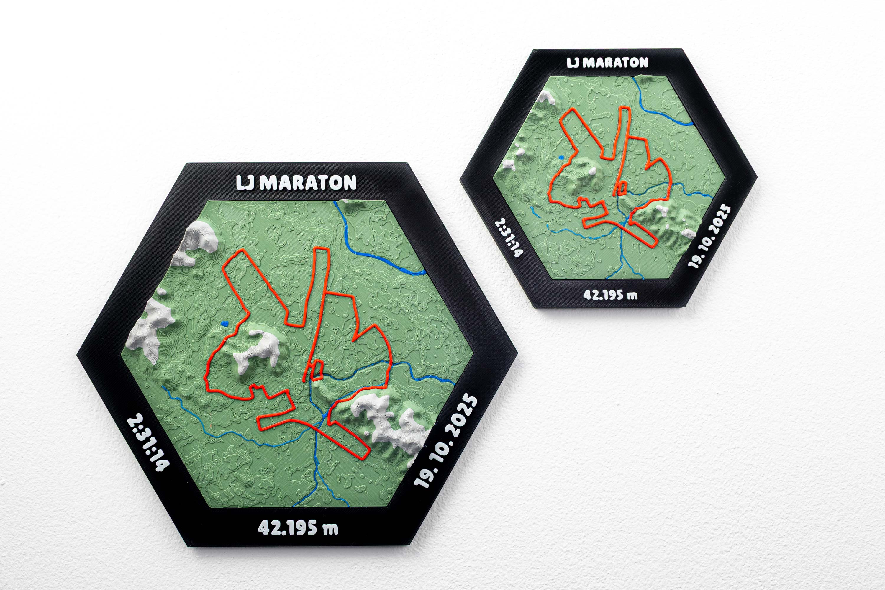 Ljubljana Marathon 2025 image 2