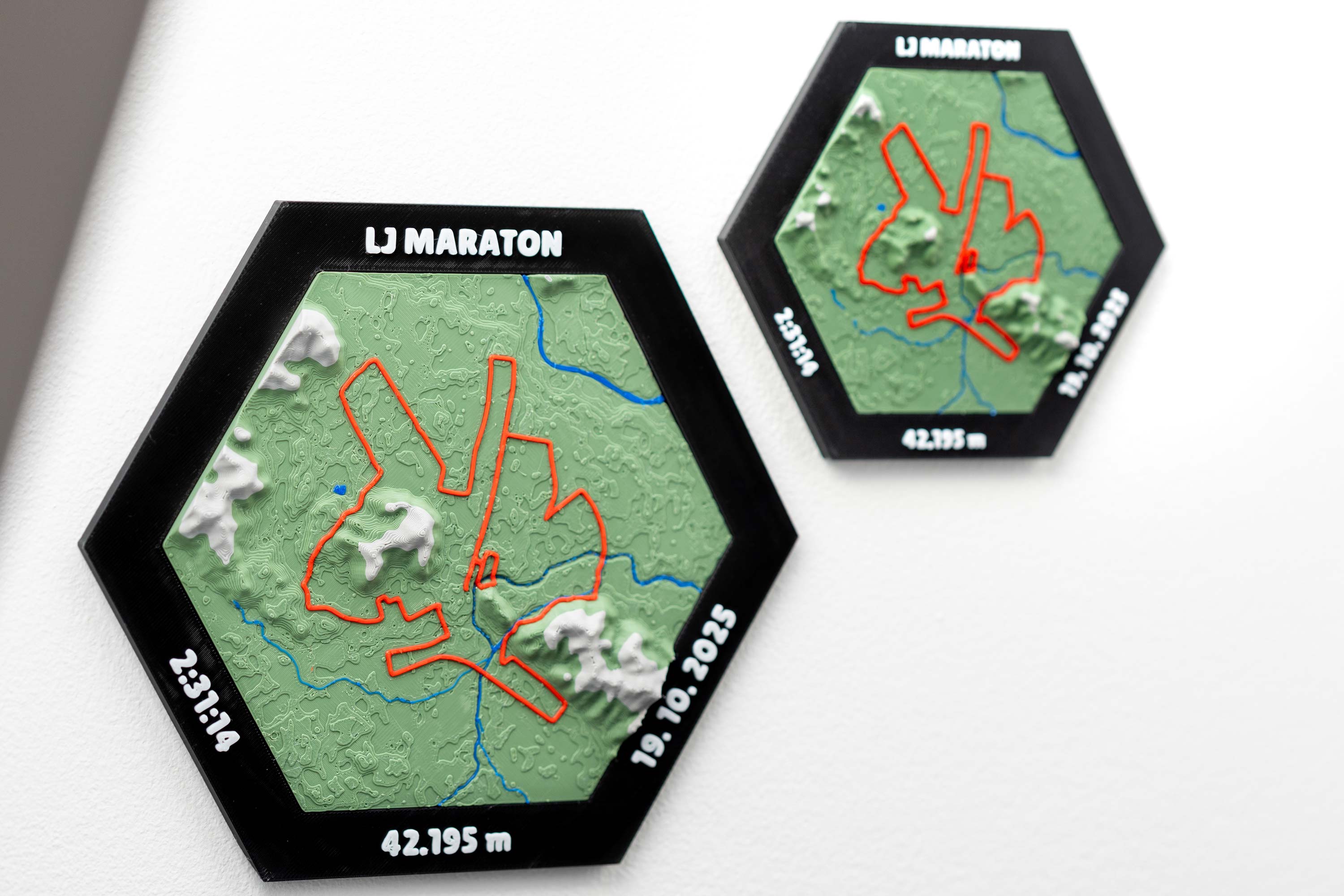 Ljubljana Marathon 2025 image 3